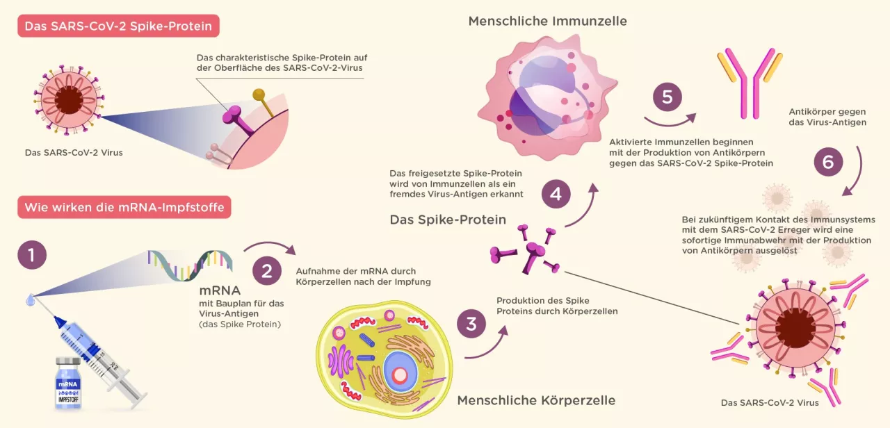 Impfung Coronavirus