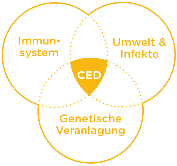 Morbus Crohn - Ursachen