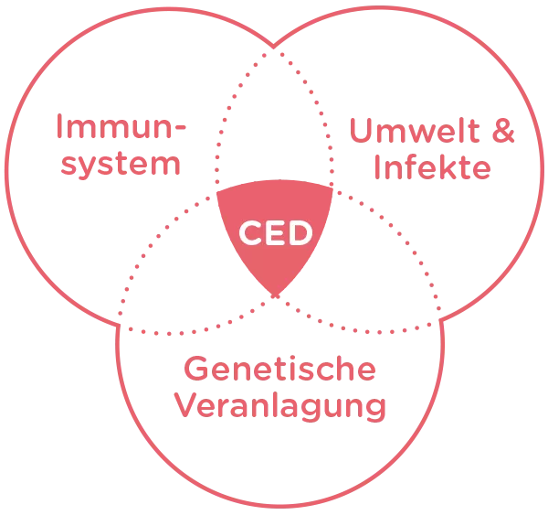 Welche Ursachen hat Colitis ulcerosa?