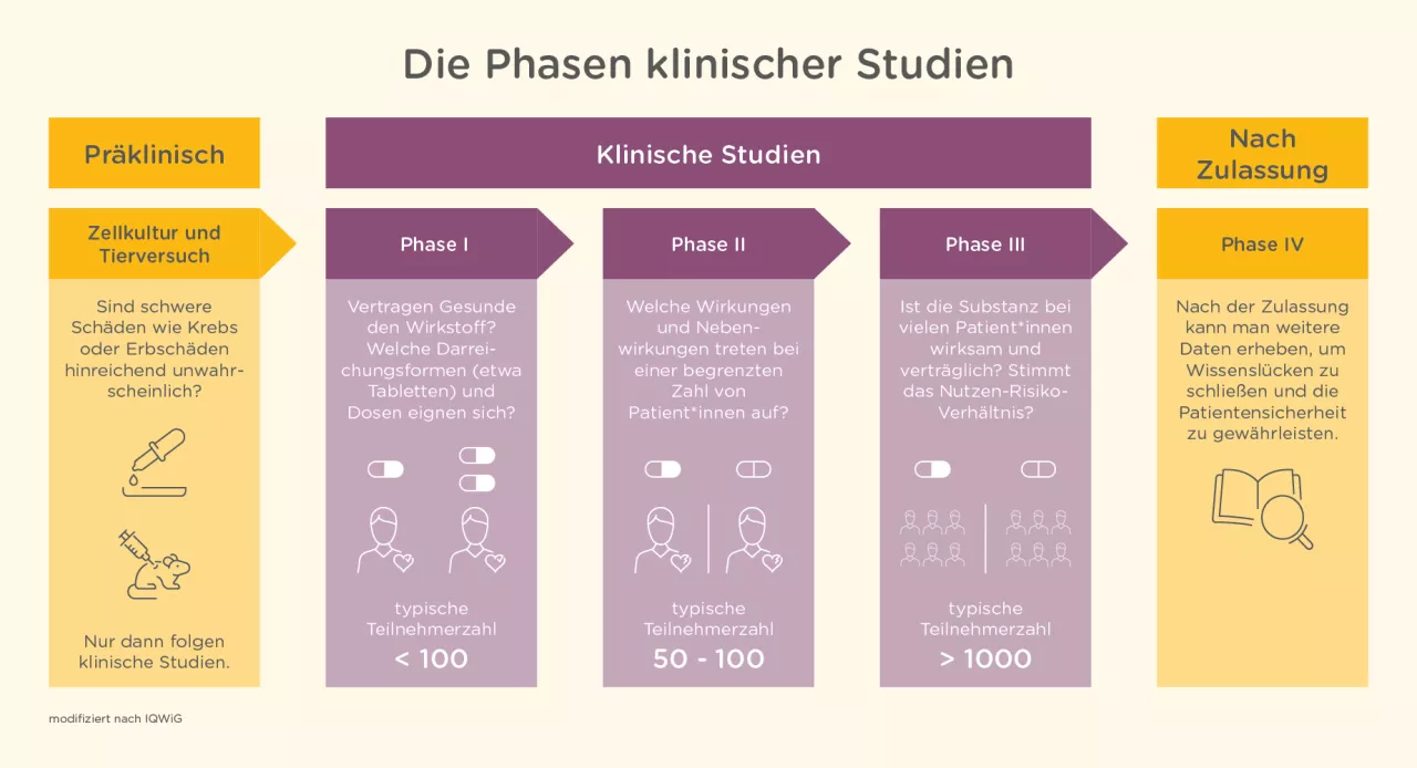 Schematische Darstellung der Studienphasen im Rahmen der Medikamentenentwicklung